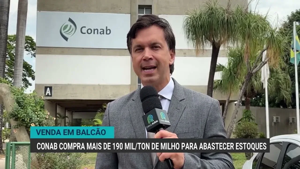 Conab adquire 191 mil toneladas de milho para estoques públicos