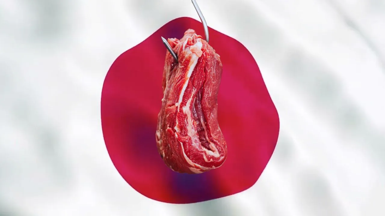 Japão expõe “forte preocupação” de pecuaristas enquanto Brasil tenta abrir mercado para carne bovina