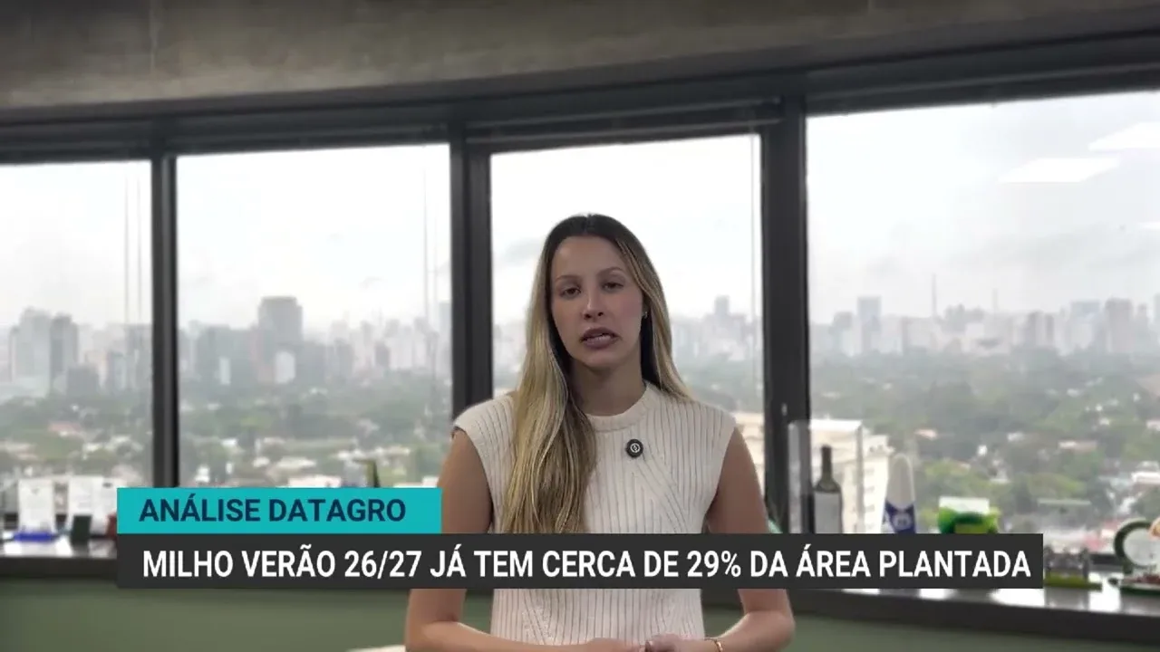 Avanço no plantio de milho verão e dados de soja no Brasil