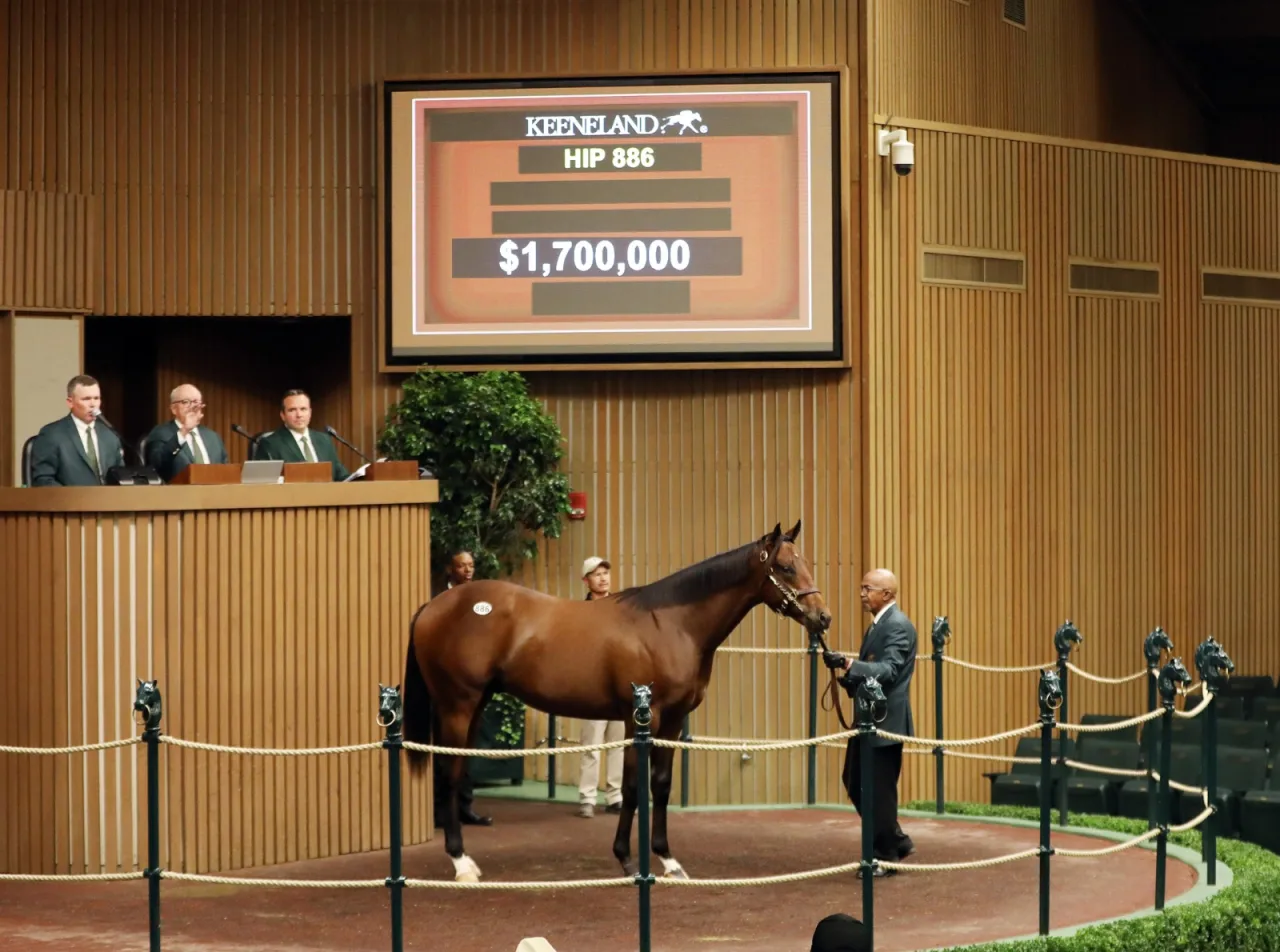 Recorde histórico cai em cinco dias: Keeneland já tem 69 cavalos acima de US$ 1 milhão