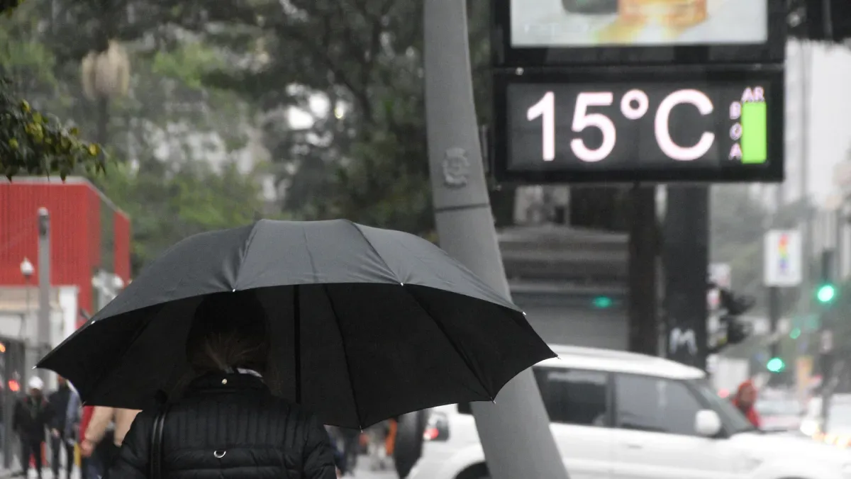 Veja impactos sofridos em SP após cidade registrar maior chuva do Brasil