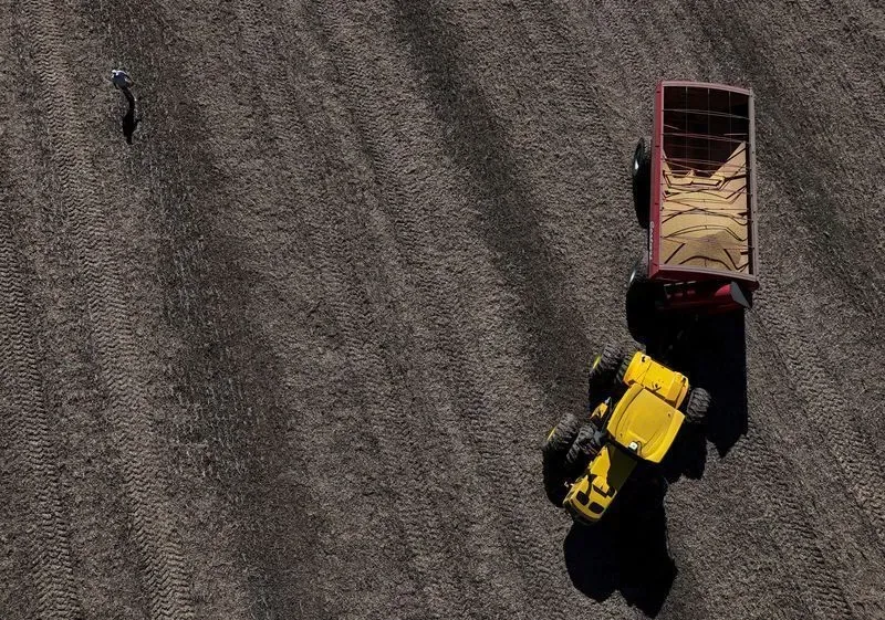 Mercado de alimentos da Amazônia cresce com produção sustentável