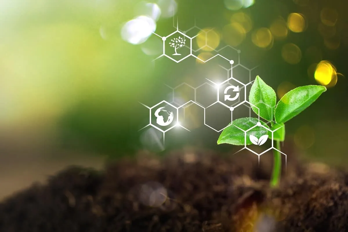 CropLife: mercado de bioinsumos soma R$ 1,820 bi no 1º semestre
