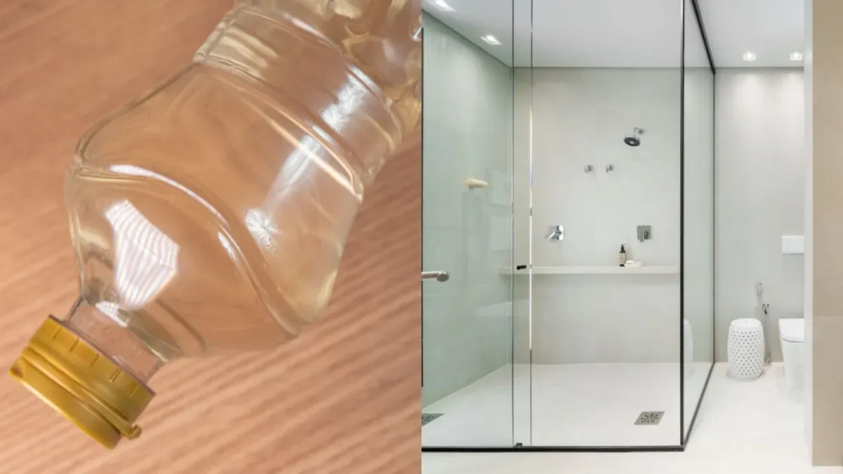 Louro com vinagre branco: para que serve essa mistura na limpeza da casa?