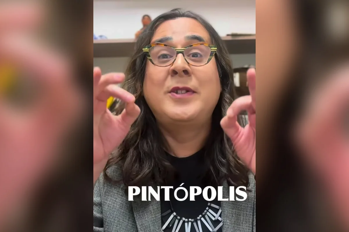 Eleitor solitário: pela 2ª vez, Duda Salabert tem só 1 voto em Pintópolis