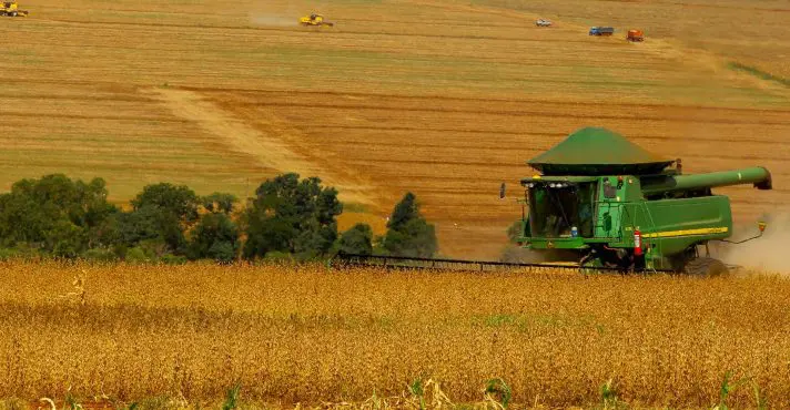 Imea mantém projeção para safra de soja em Mato Grosso