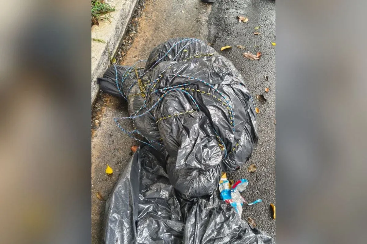 Corpos em sacos de lixo: Polícia Civil descarta ação de serial killer em SP