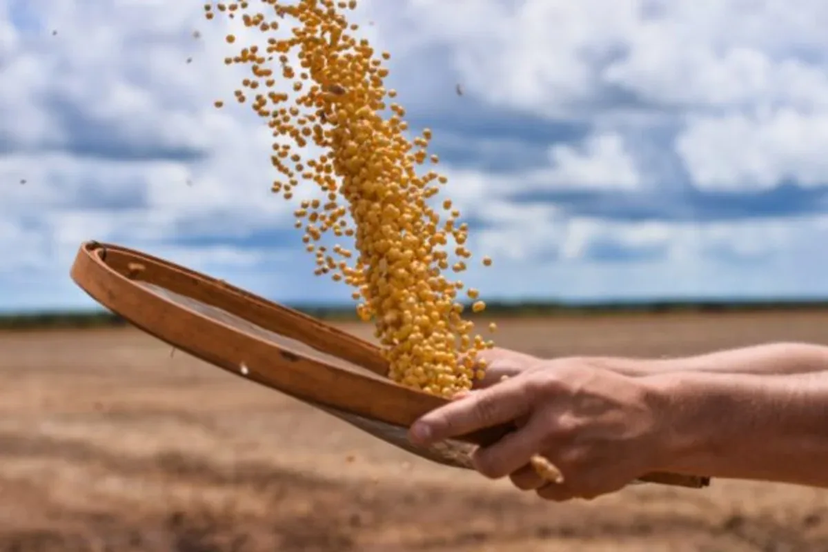 Brasil atinge marca de 700 mercados abertos para produtos agropecuários
