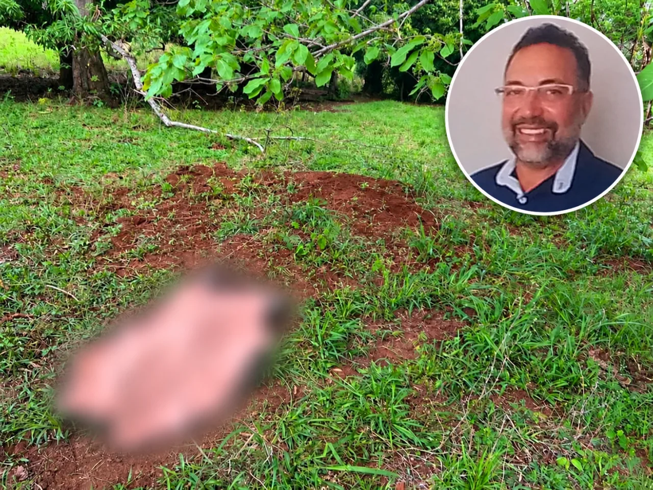 Advogado morre após ser pisoteado por boi durante manejo de gado em Goiás
