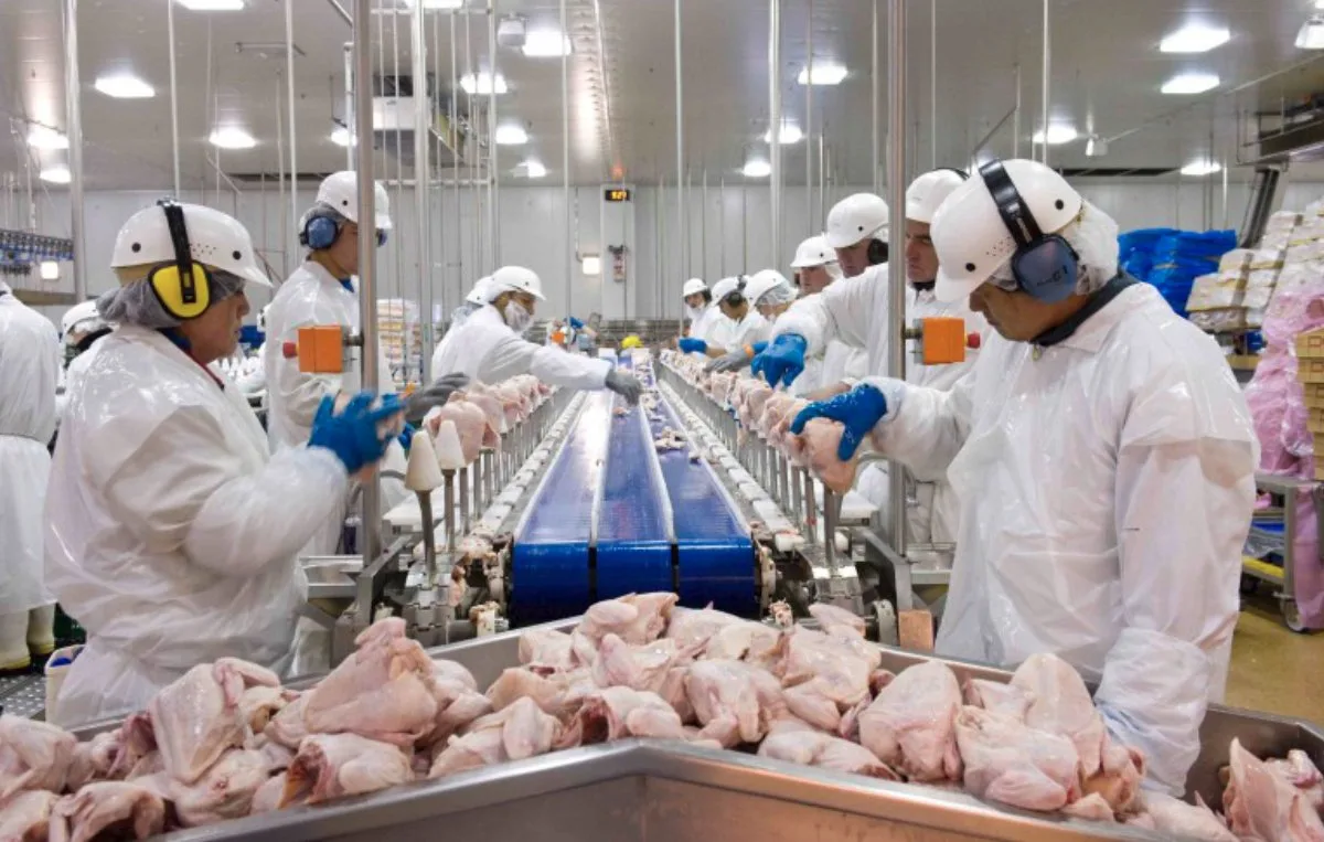 China passa de grande compradora a concorrente do Brasil em frango e outras proteínas