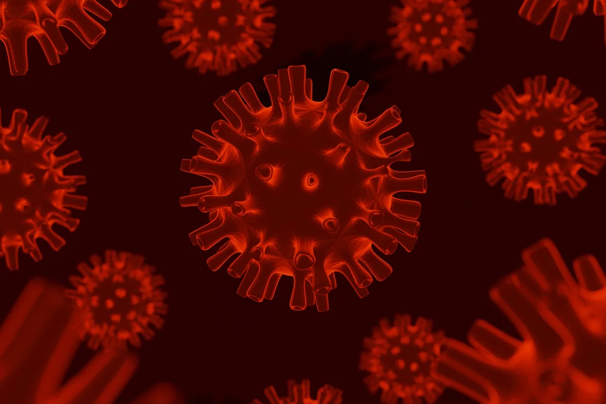 França registra a primeira infecção humana pelo vírus Shamonda no mundo