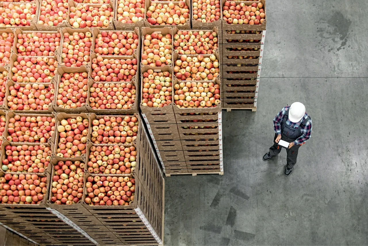 Brasil vende mais frutas à Europa, mas frete de até US$ 9 mil aperta margens
