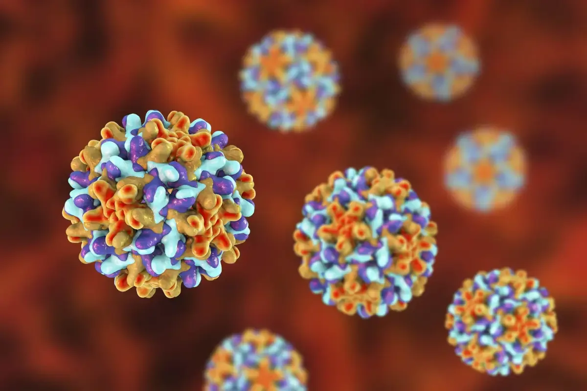 Cerca de 1 em cada 8 casos de câncer no mundo estão ligados a infecções