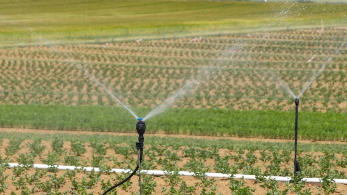 Crise de água na Espanha ameaça abastecimento agrícola da Europa