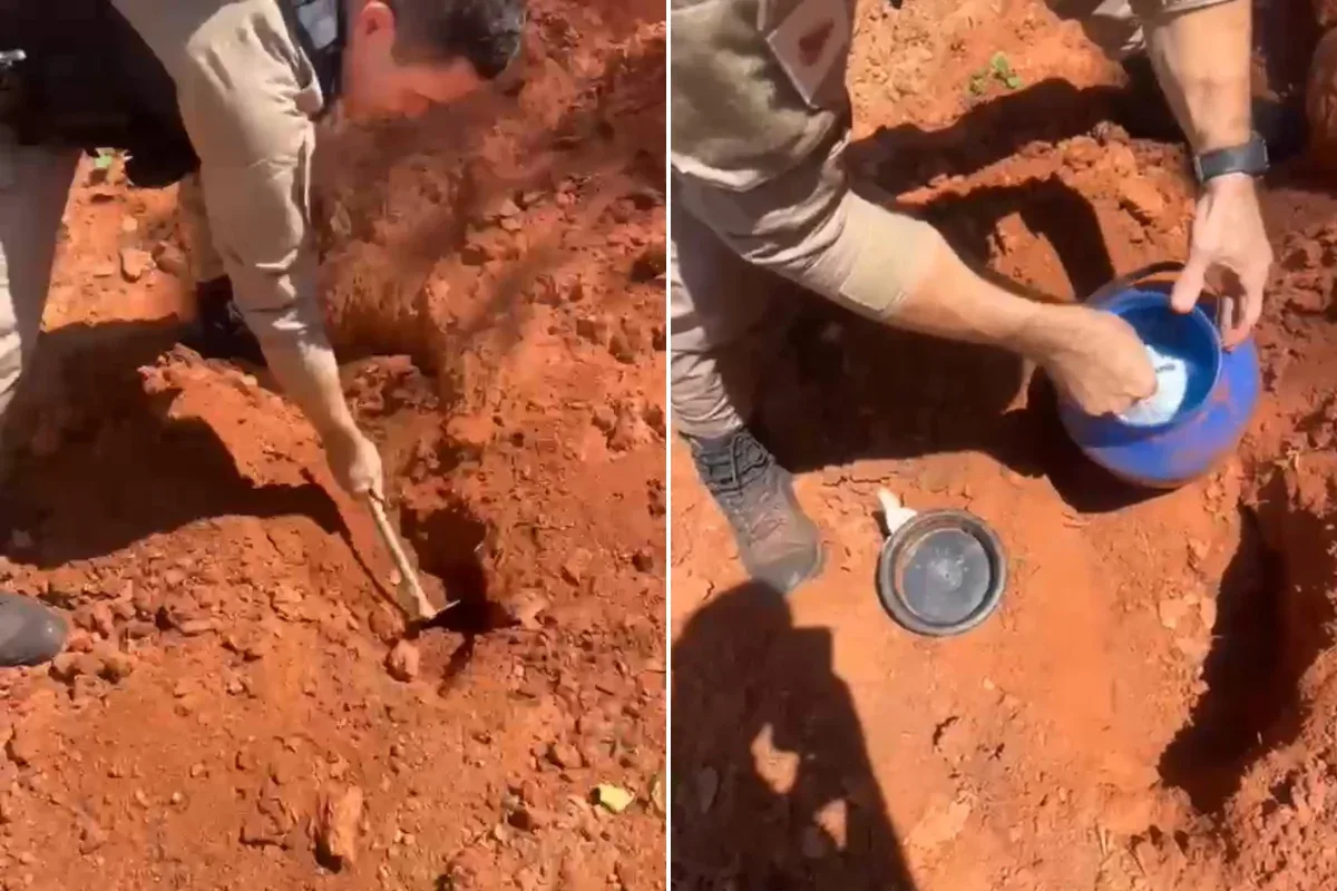MG: polícia apreende drogas e arma em Itanhomi; casal resiste e vai preso