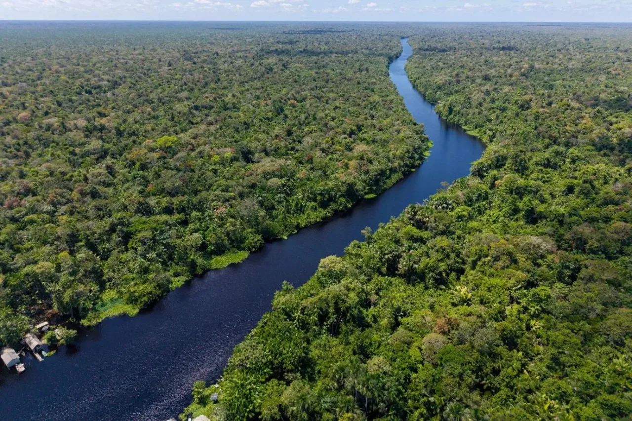 Fome de Futuro abre edital para apoiar 15 negócios sustentáveis na Amazônia