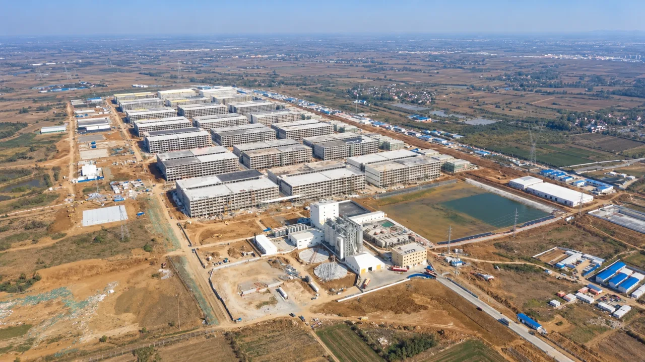 Gigante chinesa prepara megacomplexo para produzir 2 milhões de suínos fora da China