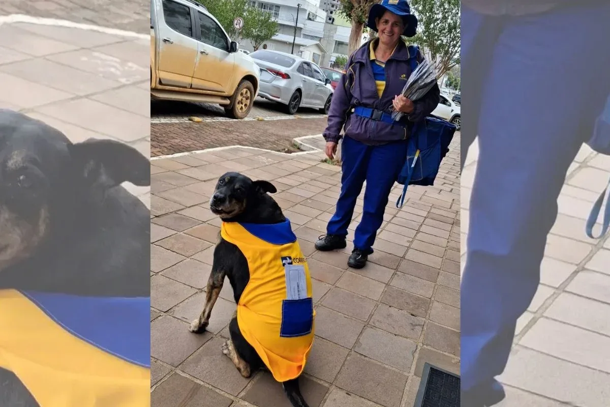 Cachorro ganha uniforme dos Correios após 10 anos acompanhando funcionária