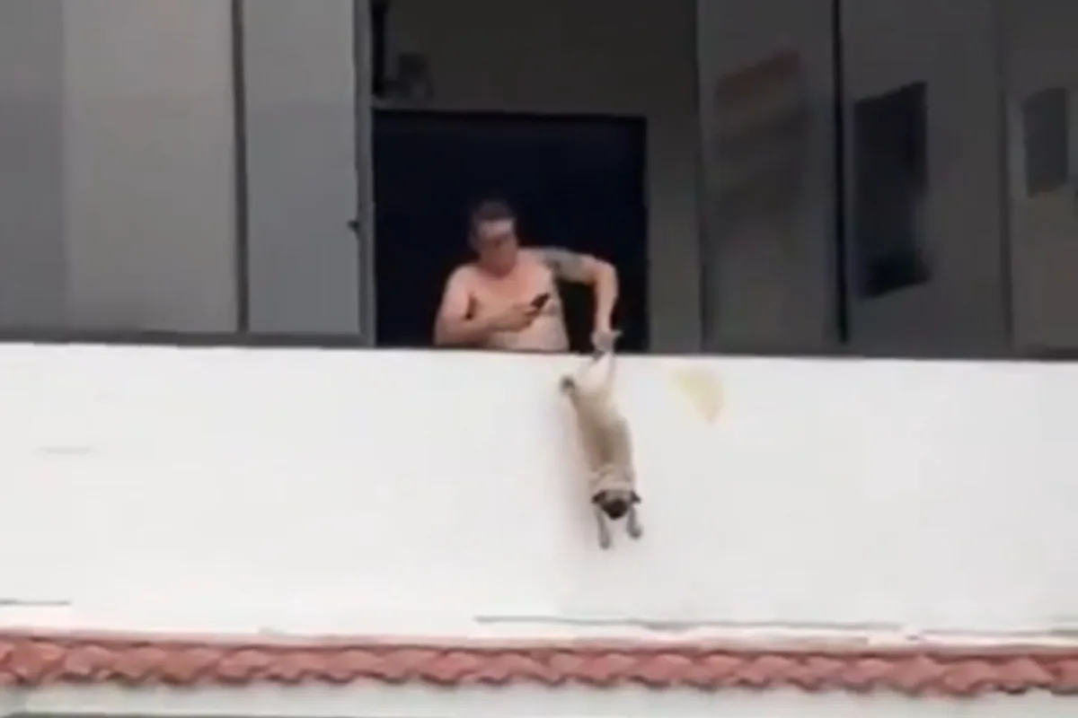 Ex-jogador é preso após pendurar cachorro pela pata em janela