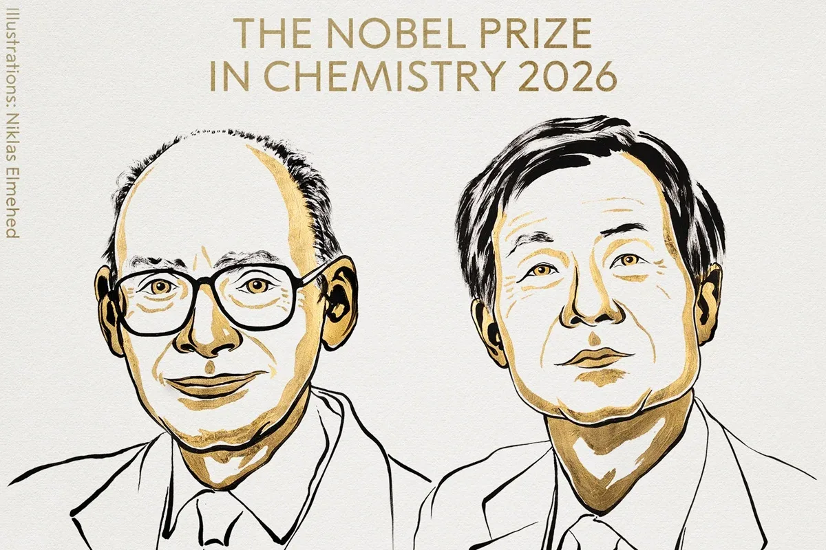 Nobel: químicos resolveram mistério que pode tornar remédios mais eficazes