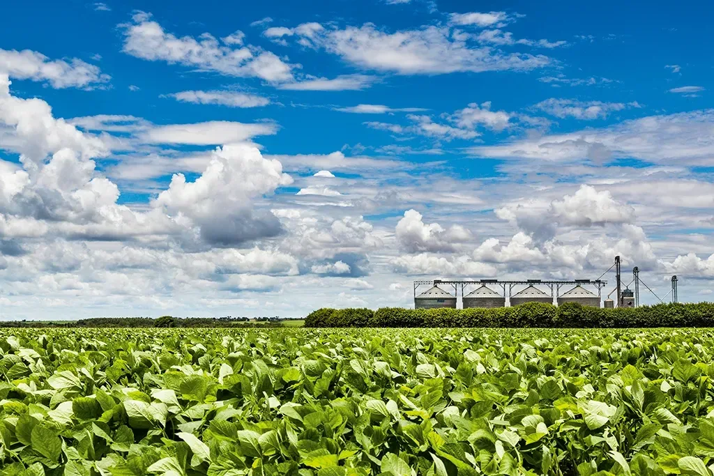 Recuperação judicial no agro cai 21%, mas pedidos de pessoas físicas aumentam no 2º tri