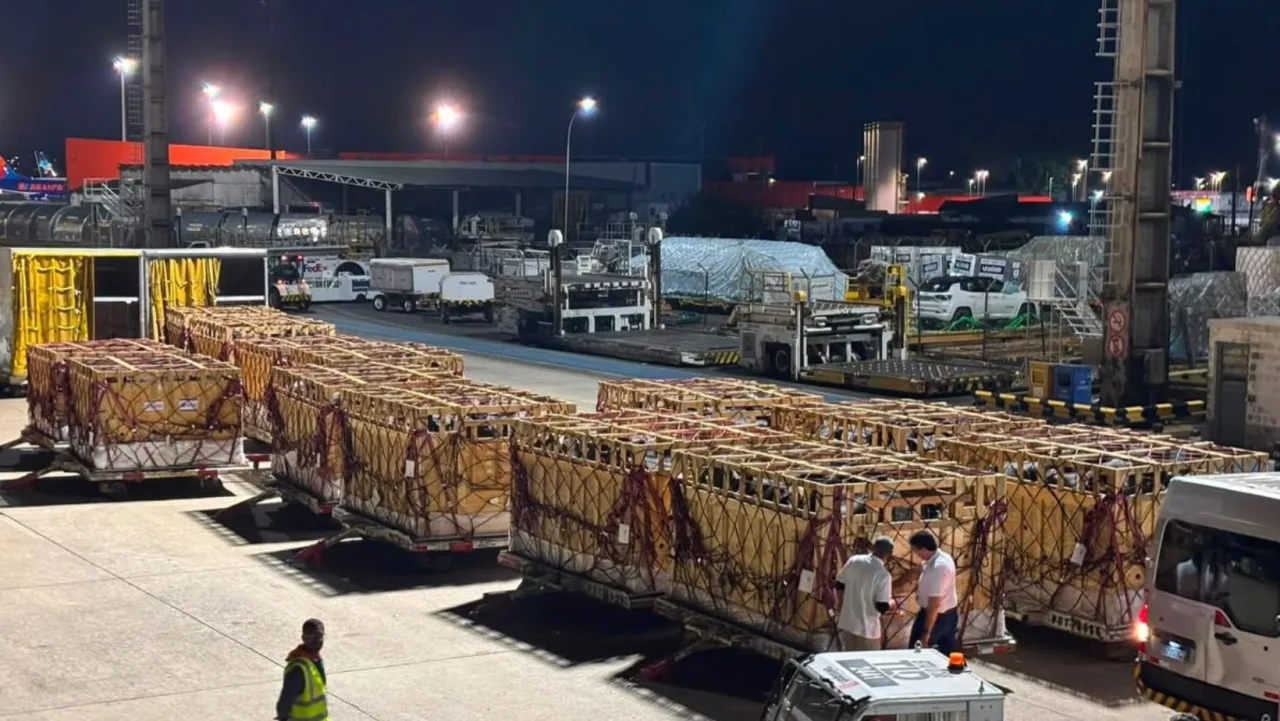 Brasil envia de avião 600 bovinos de genética leiteira para Botsuana