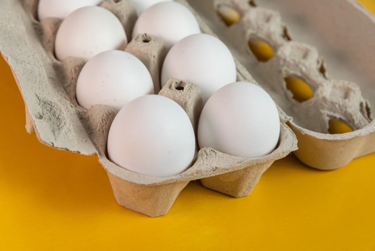 Campanha global reforça importância do ovo para a alimentação e a saúde