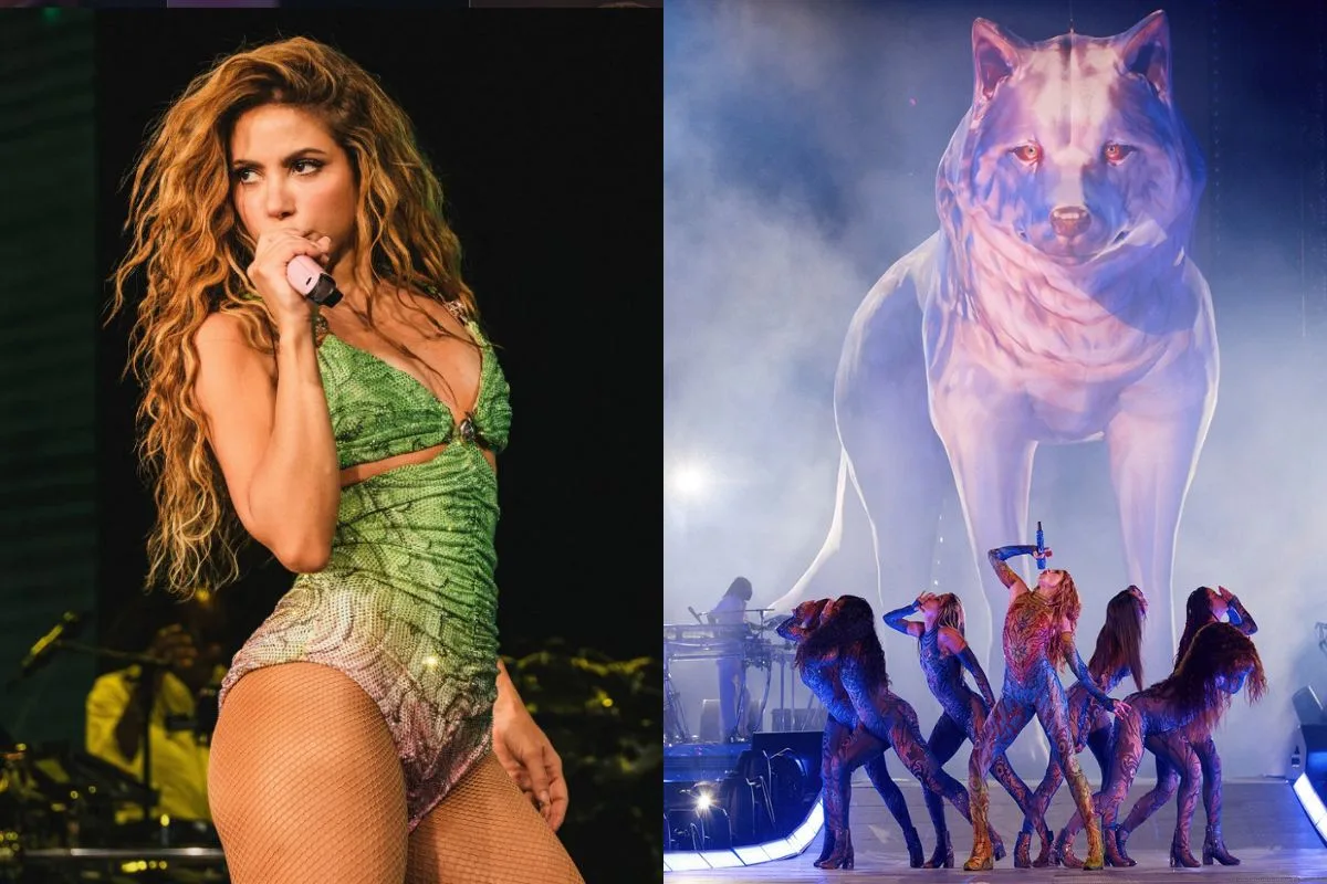 Febre pet: Shakira dispara entre os nomes mais populares de doguinhos