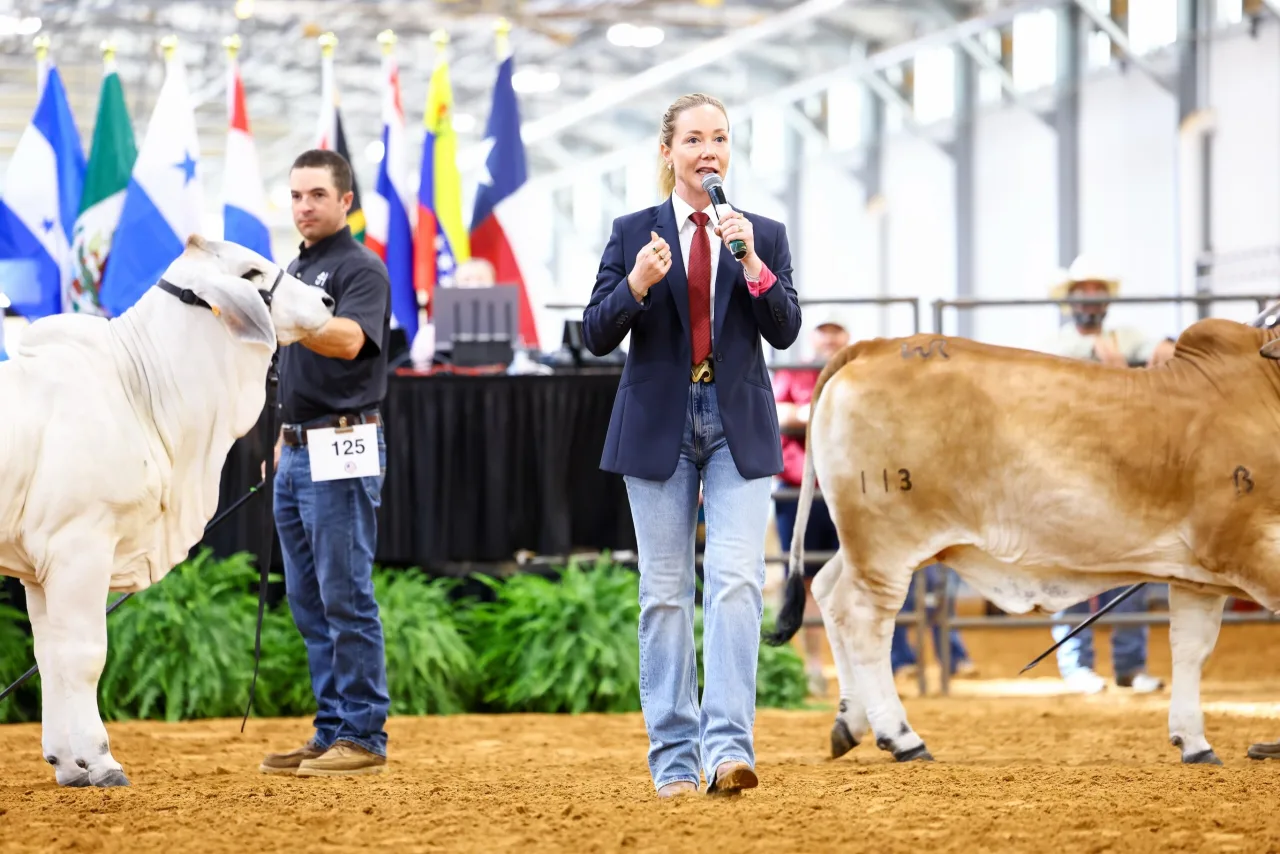 Brasileira faz história ao julgar Brahman no berço da raça, nos EUA