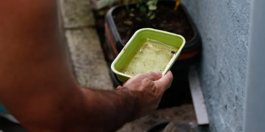 Quase metade dos municípios está em alerta ou risco para presença do Aedes aegypti