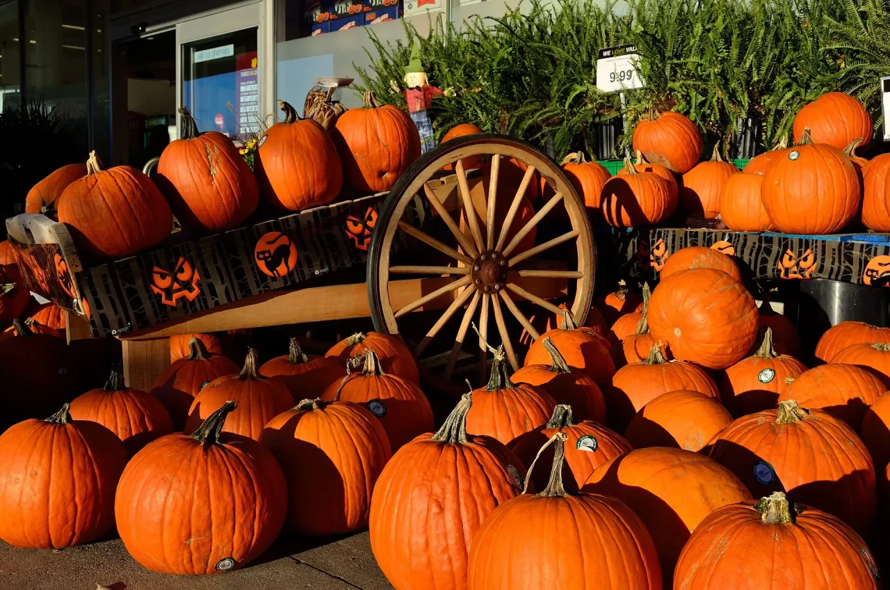 O império de US$ 286 milhões que movimenta o agro dos EUA no Halloween
