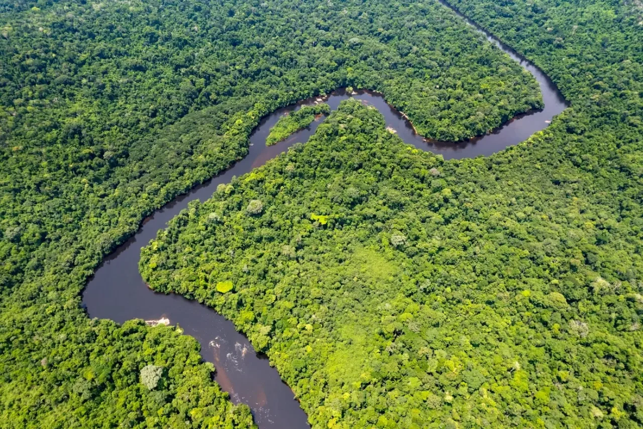 Desmatamento cai 41% na Amazônia e 23% no Cerrado e atinge menor nível da história