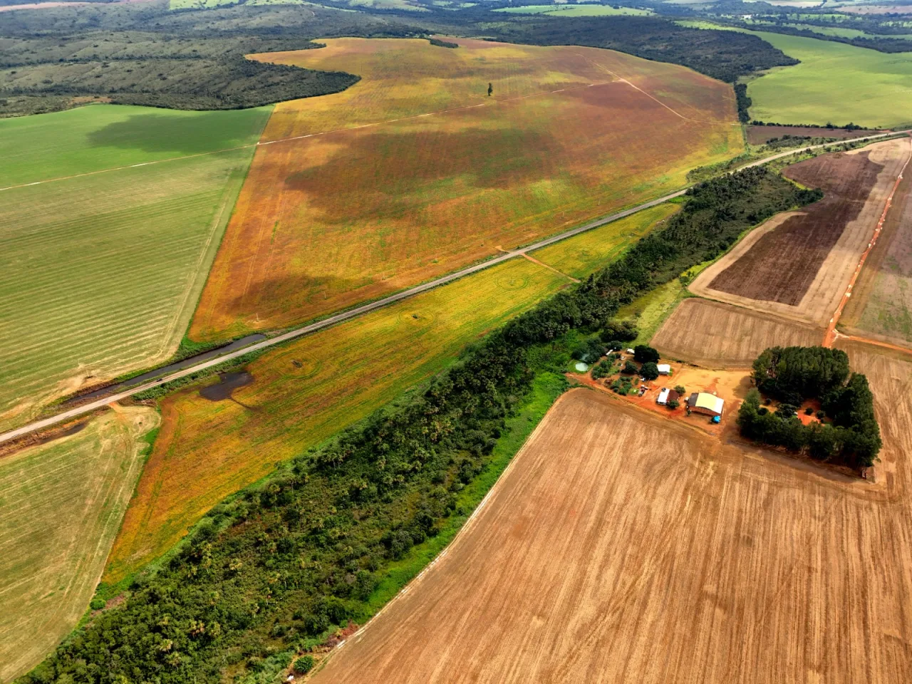 Fazenda de 241 hectares do Grupo HB Fazendas vai a leilão em Goiás por R$ 26,86 milhões