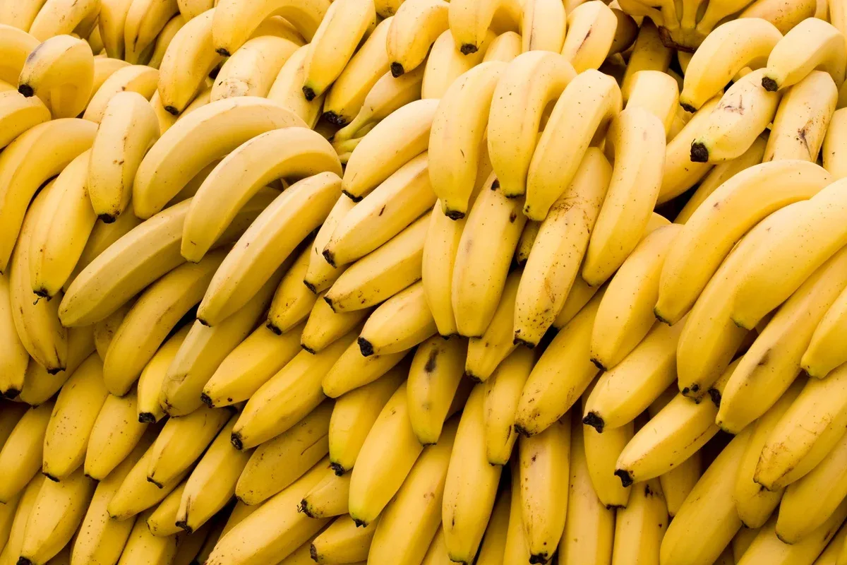 Nutricionista revela 5 truques para evitar que as bananas escureçam