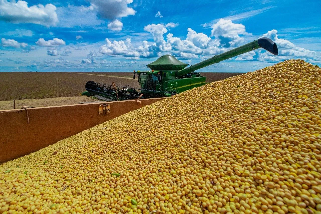 Abiove projeta esmagamento recorde de soja em 2027 e prevê exportações de 113 milhões de toneladas