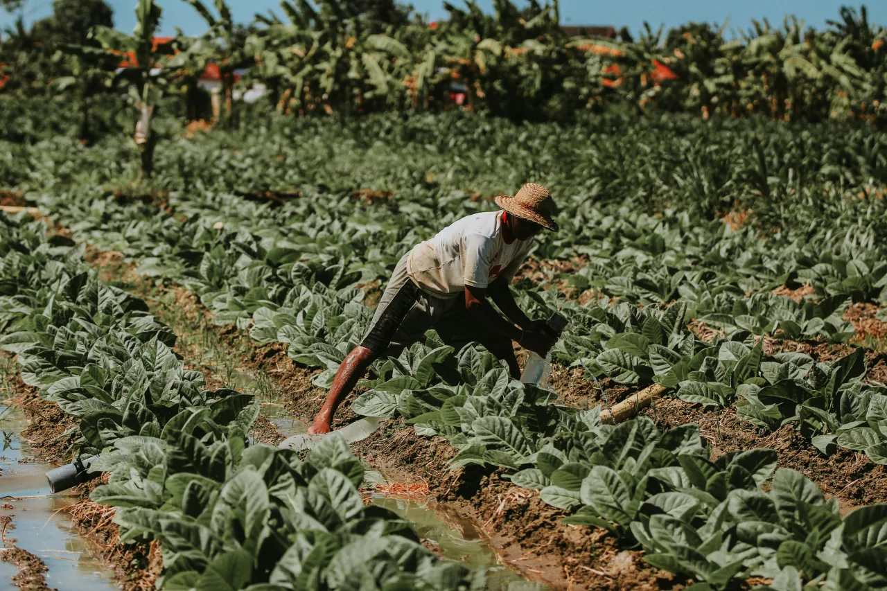 Pedidos de recuperação judicial no agro caem 20,7% no 2º trimestre