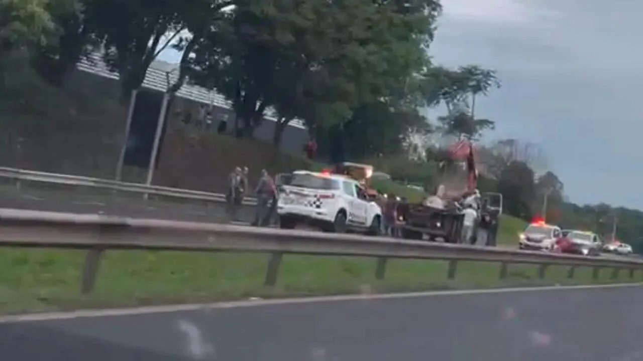 Bois escapam de frigorífico e interditam rodovias em Araçatuba
