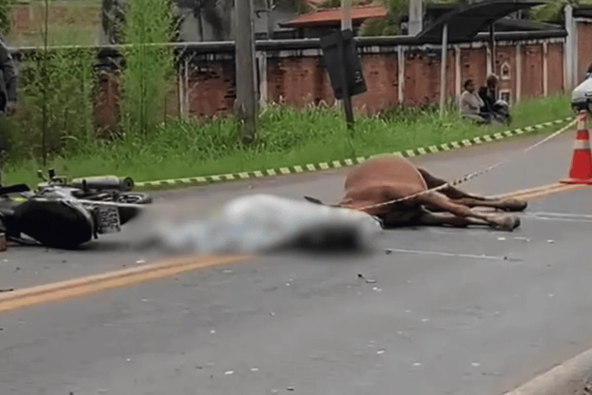 Mulher morre asfixiada com capacete após bater moto contra cavalo