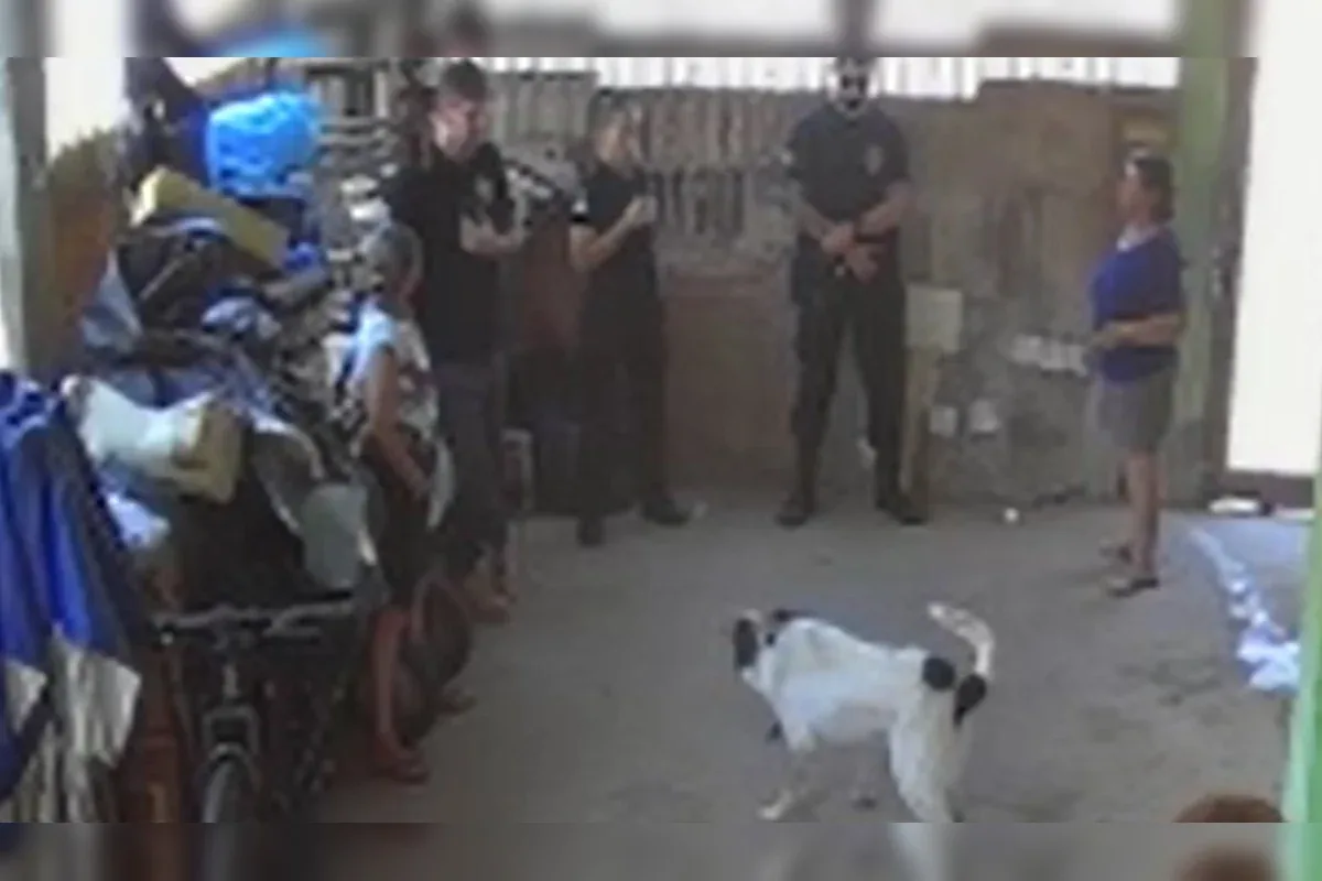 Cachorro que foi torturado com taser é resgatado pela PCDF na Vila Planalto