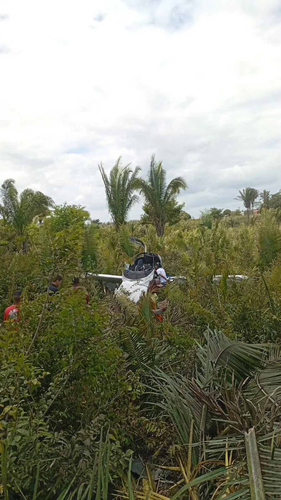Vídeo: avião bimotor cai após decolar de Carutapera; todos os ocupantes sobrevivem