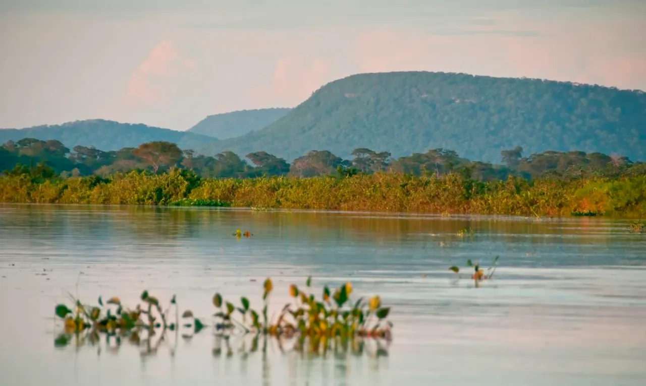 Cerrado perdeu 13,9 milhões de hectares de margens de rios