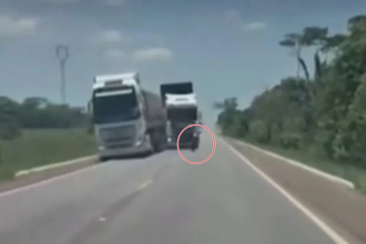 Motociclista morre após fazer zigue-zague e bater de frente com carreta