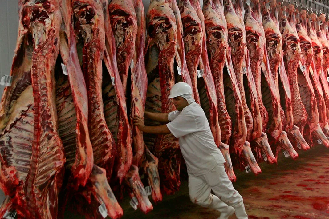 Brasil inicia produção de carne bovina para exportação à China em 2027, afirma Abiec