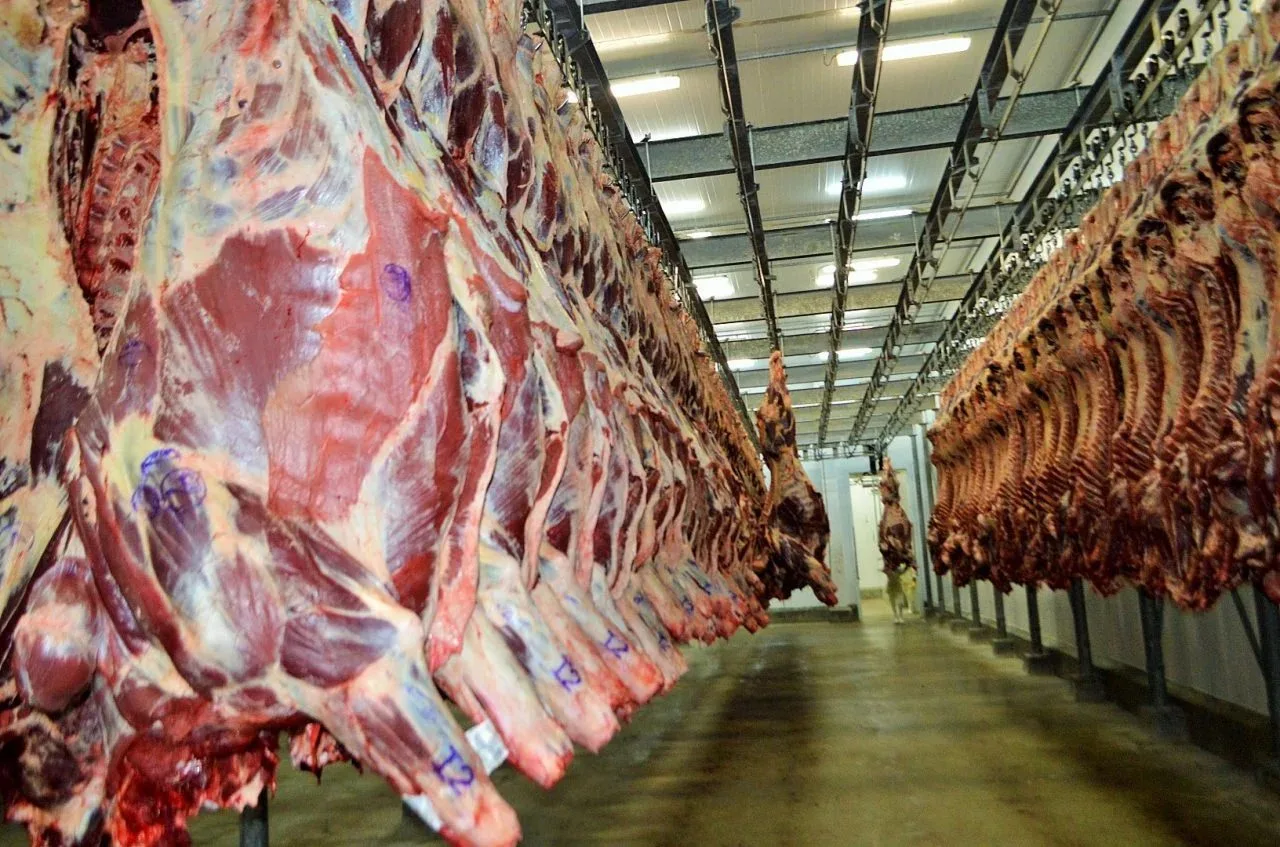 Sobretaxa da China exige abertura de novos mercados, afirma Sistema FAEP