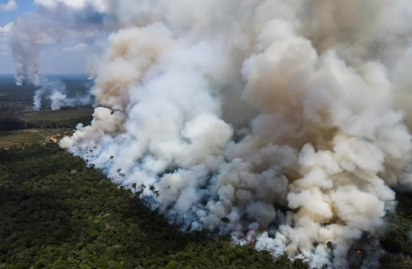 Incêndios disparam 253% no Amazonas e ampliam pressão sobre floresta, ar e produção rural