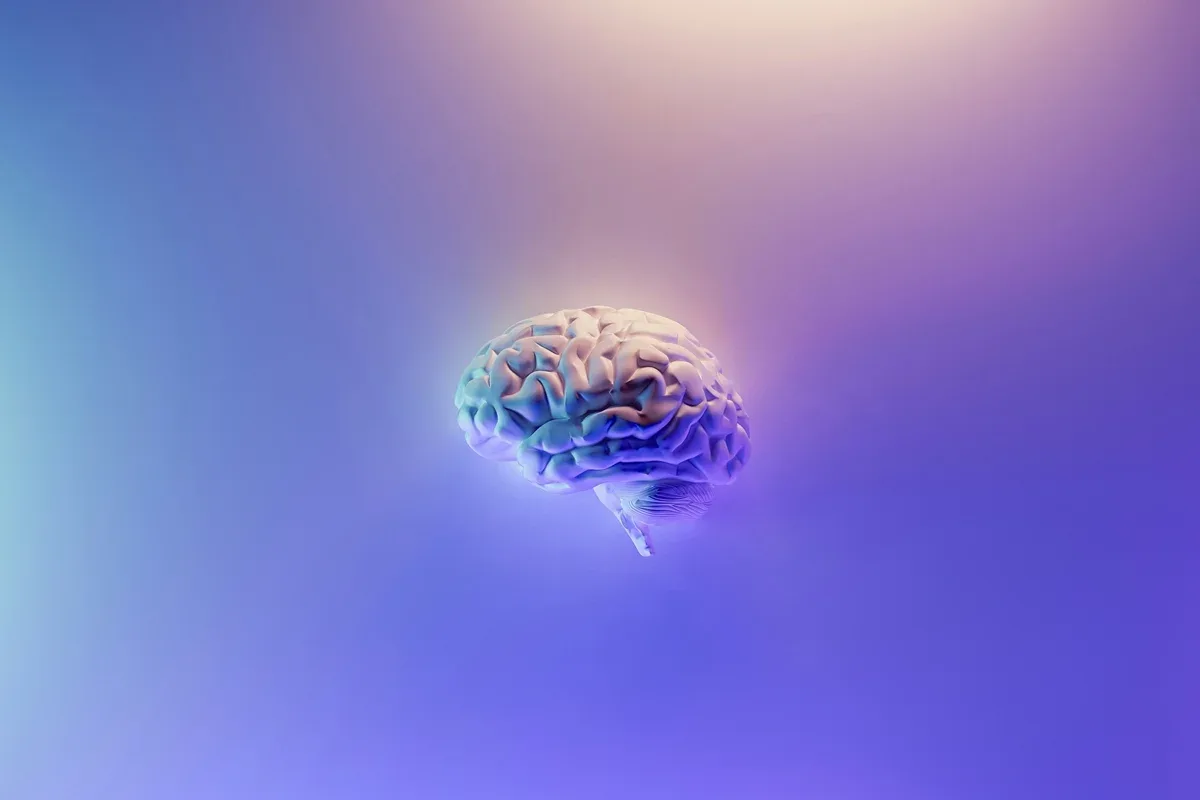 Cientistas conectam 3 minicérebros e registram resposta a estímulos