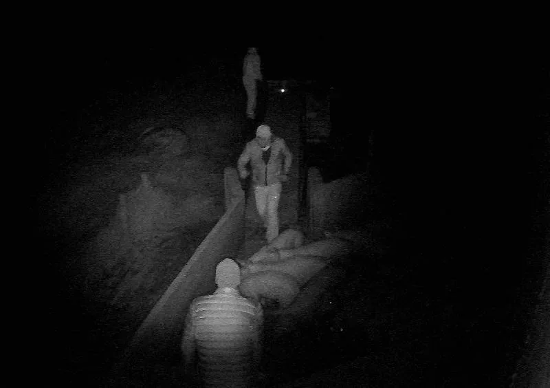 VÍDEO: criminosos invadem granja, levam 25 porcos e animais caem na fuga