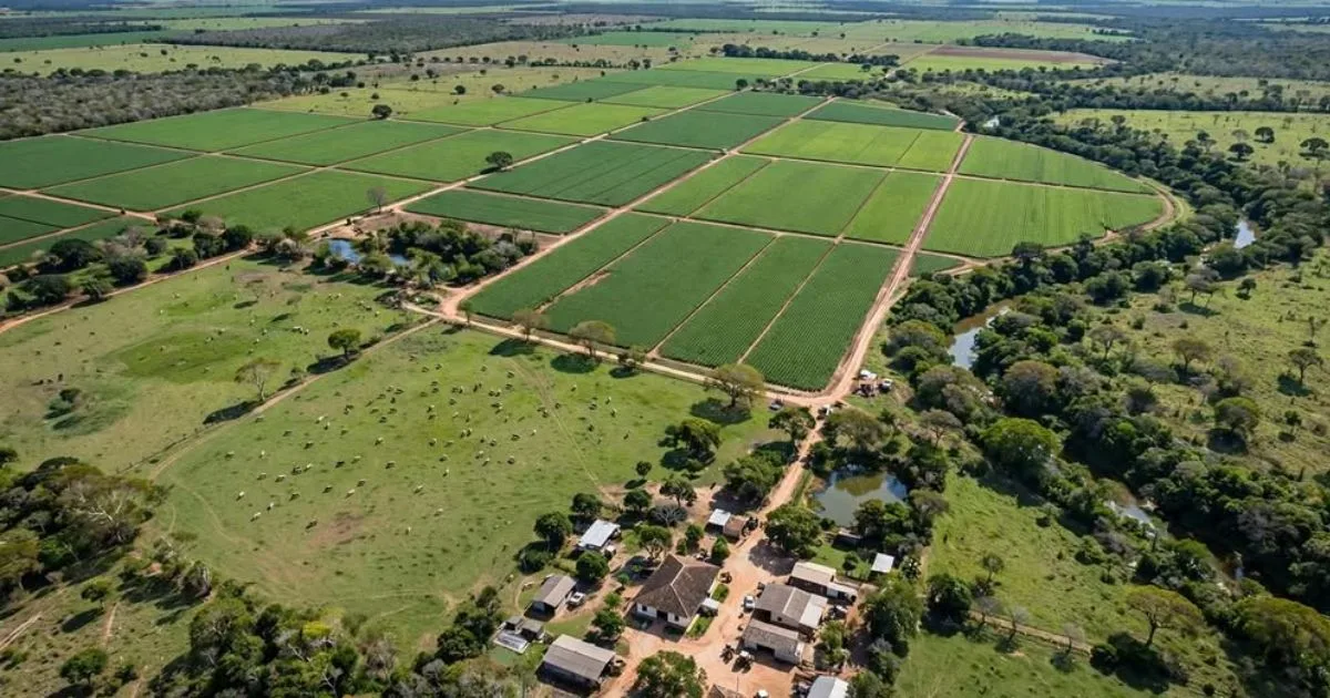 Sua fazenda corre risco de ir a leilão? Saiba quando ainda é possível agir
