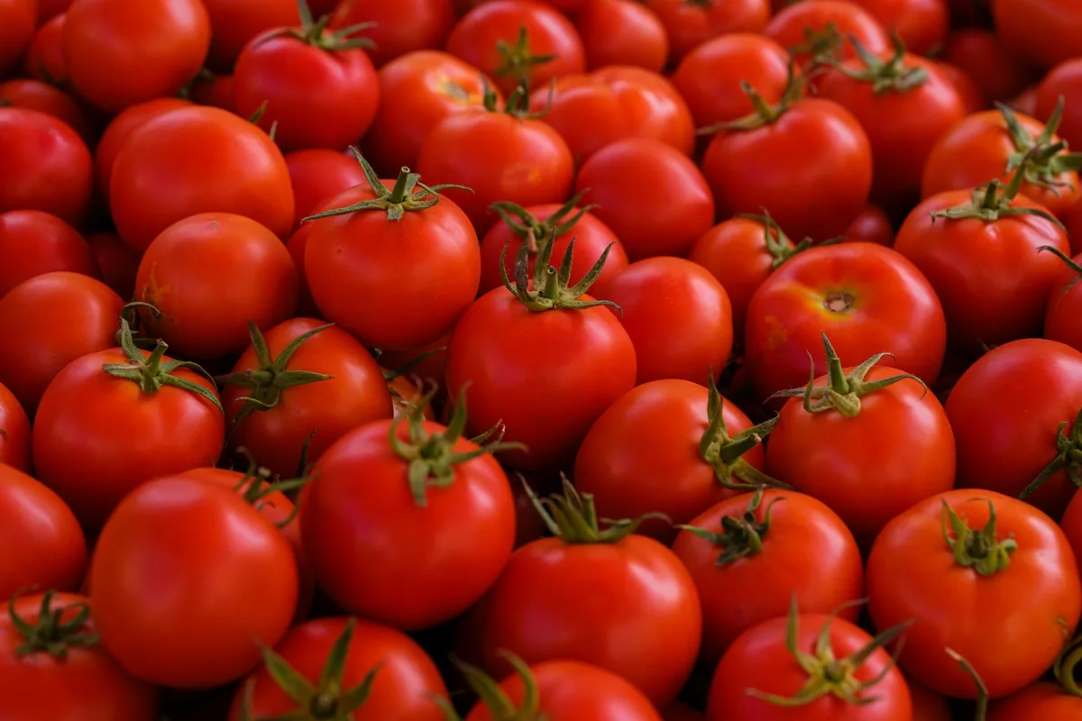 Entenda como o tomate pode acelerar o estrago de alimentos na geladeira
