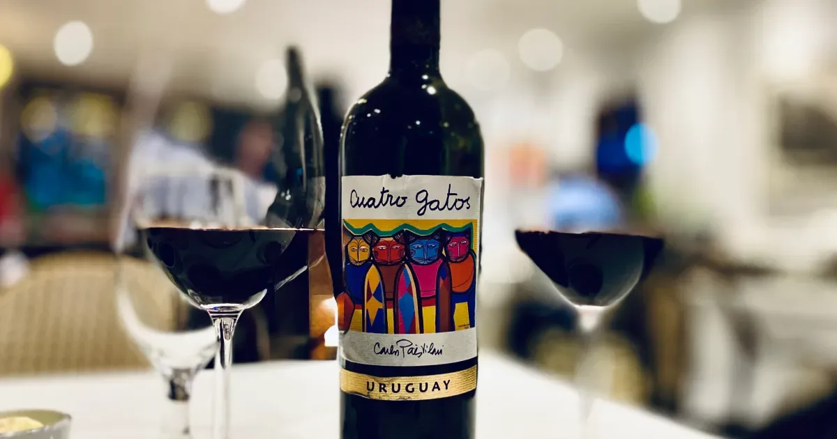Muito além do Tannat: descubra os vinhos de boutique que revelam um outro Uruguai